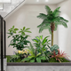 故森室內仿真綠植造景樓梯下裝飾庭院造景景觀(guān)布置假植物組合商場(chǎng)櫥窗 景觀(guān)001-椰子樹(shù)【2米長(cháng)】