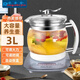 榮事金（Rongshijin）3升大容量玻璃多功能養(yǎng)生壺養(yǎng)生鍋煮茶器電熱燒水壺中藥煎藥壺藥膳壺SD-3000A [普通款整套] 3L