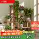 安爾雅松木花架子客廳陽臺(tái)多肉植物多層組裝花臺(tái)簡(jiǎn)約置物架花擺架帶輪