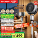 夏普空氣循環(huán)扇電風(fēng)扇家用驅(qū)蚊直流變頻新款電扇大風(fēng)力渦輪暴風(fēng)落地扇對流凈化除菌循環(huán)風(fēng)扇遙控3D搖頭 CD420A-C【升級款】語音+離子群+濾網(wǎng)凈化