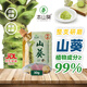 本山葵云南正宗鮮山葵醬30g新鮮芥末醬辣根醬青芥辣 配日料刺身烤肉壽司