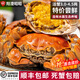 【活蟹】陽(yáng)澄昭昭大閘蟹 鮮活螃蟹大閘蟹公母組合裝 水產(chǎn)生鮮禮盒 公4.0-4.3母3.0-3.3兩公5只母5只 蘇州精品大閘蟹