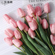 生喜朗輕奢郁金香仿真花假花塑料花客廳餐桌裝飾擺件生日禮物送女生花束