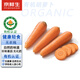 京鮮生 有機胡蘿卜3斤特惠裝  有機認證無(wú)農殘山東源頭直發(fā)