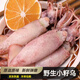 籽烏滿(mǎn)籽小海兔新鮮無(wú)沙海兔子章魚(yú)墨魚(yú)小管撈汁燒烤 原籽-籽烏99%帶籽 500g(凈重） 30只裝