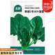 北蔬 大葉菠菜種子種苗秋四季播種蔬菜種籽 寒雄1號大葉菠菜種子200g