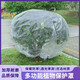 悠梵萌 植物防寒罩綠植保溫袋透明塑料膜冬天防凍保護罩1.5m*1.5m5個(gè)裝