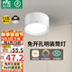 雷士（NVC）LED筒燈家用客廳臥室吊頂過道免開孔明裝天花燈PC白色15瓦暖白光