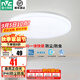 雷士（NVC）陽臺燈臥室燈吸頂燈燈具燈飾廚房燈LED照明燈現(xiàn)代簡約燈飾衛(wèi)生間 如雪白 12瓦 正白光 IP40防蟲