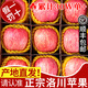 梓樂(lè )果正宗洛川蘋(píng)果紅富士蘋(píng)果25年新果 陜西延安特產(chǎn)時(shí)令生鮮水果禮盒 凈重【8.5斤】85mm（含）-90mm(不含)熱銷(xiāo)