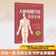 人體經(jīng)絡(luò )穴位實(shí)用手冊