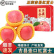 南步山西吉縣蘋(píng)果【順豐】壺口特產(chǎn)冰糖心蘋(píng)果高山紅富士水果送禮盒 9斤 精選大果【單果80mm+】約18枚/彩箱