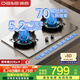 德意（DE&E）【星火】燃氣灶 不銹鋼 雙眼灶具 5.2kW大火力 高熱效率 全尺寸適配 灶具JZT-716G（天然氣）