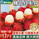 四叔公果蔬海南紅毛丹保亭7號【順豐-多地次日達】毛荔枝中秋節(jié)水果禮盒送禮 凈3斤【爆款推薦-超80%買】蕞劃算 老樹果王｜顆顆甄選｜甜度約25°