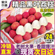 沐小七果蔬黑葉荔枝【順豐-多地次日達】新鮮凍眠荔枝非現(xiàn)摘水果中秋節(jié)禮盒 9A超級巨無霸【爆甜】單果20g+ 凈5斤【超劃算-80%選擇】主推爆款