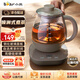 小熊（Bear）煮茶器 煮茶壺 養生壺 煮茶水壺蒸 燒水壺 電熱水壺 汽玻璃壺噴淋式蒸茶器沖泡茶煮花茶黑茶 【噴淋式煮茶器】ZCQ-A08H2