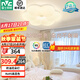 雷士（NVC）LED臥室護眼吸頂燈奶油風(fēng)高級感輕奢兒童房燈飾燈具 【RA95顯指】花朵燈 36瓦三段