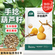 北蔬 手捻小葫蘆種子苗文玩特小陽(yáng)臺(tái)庭院爬藤盆栽籽 手捻葫蘆種子10粒