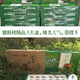 陜西周至翠香奇異果眉縣甜獼猴桃水果當季精美新鮮禮盒裝現摘5斤 翠香禮盒裝24顆精品果5斤