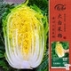 壽禾黃心大白菜種子苗庭院春季蔬菜籽 華良皇美人白菜種子12g約4000粒