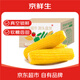 京鮮生東北黃糯玉米棒200g×8根 甜黏玉米 多種包裝隨機發(fā)貨 源頭直發(fā)