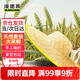 漫德萊草帽大草帽男斗笠帽夏季農(nóng)用草帽子沙灘戶外遮陽防曬竹編帽42cm*3
