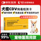 萌格犬瘟CDV熱病毒檢測卡膠體金試紙條 1條/盒 寵物狗狗發(fā)燒嘔吐腹瀉精神不振