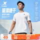 特步運動(dòng)t恤短袖男夏裝新款跑步速干衣薄款訓練服半袖簡(jiǎn)約上衣polo衫 【綜合訓練】珍珠白0146 L 175