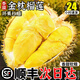 果領(lǐng)隊泰國金枕榴蓮新鮮孕婦水果【JD/順豐-多地次日達】金枕頭鮮果送禮 實(shí)惠【A級】單果3-4斤|包4-6房|不推薦