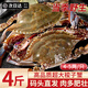 青島梭子蟹鮮活特大野生螃蟹新鮮冷凍海鮮海蟹飛蟹白蟹類(lèi)節日禮盒 特大梭子蟹4斤（8-12只）凈重