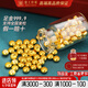 皇工世家黃金投資金9999足金小金豆金豆子1克存金攢金1g小金珠 1g送攢金瓶 HGJ467