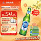 青島啤酒嶗山啤酒經(jīng)典小瓶裝316ml*24瓶整箱裝  中秋節(jié)送禮