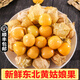 柏饞【順豐】黃姑娘果新鮮5斤 甜菇娘果 黃菇蔦兒 燈籠果 5斤(實惠裝）