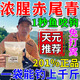 赤尾青餌料超濃腥型釣鯽魚(yú)鯉魚(yú)草魚(yú)鳊魚(yú)鰱鳙黑坑野釣通殺四季通用 1袋裝【快速誘食】體驗裝