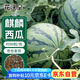 花沃里麒麟西瓜種子約90粒 8424西瓜苗冰糖西瓜蔬菜種子盆栽庭院田間種