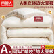 南極人（NanJiren）a類(lèi)大豆雙人被子被芯200x230cm春秋棉被褥加厚冬季3-4-6-8斤宿舍 立體條紋-米白【A類(lèi)針織棉  親膚可裸睡】 200x230cm【約4斤 雙人春秋被】