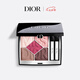 迪奧DIOR【新品】迪奧驚艷五色眼影限定版862彩妝七夕情人節(jié)生日禮物