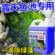 BIBK德國品質(zhì)魚(yú)缸除藻去苔劑青苔清除劑不傷魚(yú)池水藻藍綠黑毛藻去除克 魚(yú)池除藻劑【3斤】?jì)羲? title=