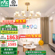 雷士（NVC）吊燈后現(xiàn)代歐美百搭大氣智能LED吊燈具套餐輕奢客廳燈網(wǎng)紅燈飾 莫妮卡10頭120瓦led智能吊燈