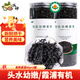 派紳有機紫菜60g2罐頭水紫菜包飯不免洗紫菜蝦米皮蛋花湯料包食材
