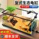 爬將軍深水烏龜缸小型家用烏龜生態(tài)缸烏龜飼養(yǎng)缸超白玻璃生態(tài)魚缸 40cm深水龜缸【蓋子+造景+過濾+曬燈】