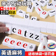 IGEFEA英語(yǔ)麻將趣味英文字母麻將英語(yǔ)單詞套裝兒童桌游大腦思維邏輯訓練 108張【英文麻將】贈懲罰盤(pán)+收納