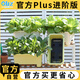 歐林澤2套oliz種菜專(zhuān)用盆陽(yáng)臺種菜盆長(cháng)方形種植箱家用霍倫盆自吸水花盆