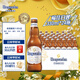 福佳白啤酒 比利時風(fēng)味精釀小麥啤酒 整箱裝批發(fā) 露營燒烤 宴會聚餐 【金獎白啤】 330mL 24瓶 整箱裝