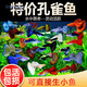 孔雀魚(yú)純種熱帶魚(yú)觀(guān)賞小魚(yú)小型好養魚(yú)苗耐活淡水熱帶鳳尾斑馬金魚(yú) 】孔雀魚(yú)1條【 爆款/可繁殖/直接生小魚(yú)