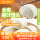 廣州酒家利口福 全麥椰汁饅頭400g*2 24個 兒童早餐 雜糧粗糧 包子半成品美食