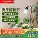 三思夾子植物燈led室內(nèi)全光譜綠植盆栽花卉分區(qū)補光燈-10W不定時