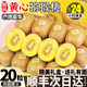 新西蘭奇異果金果20粒裝黃心獼猴桃大果新鮮當季水果順豐整箱包郵 20粒