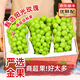 優(yōu)味集陽(yáng)光玫瑰葡萄【JD順豐】新鮮晴王葡萄青提子云南當(dāng)季孕婦水果生鮮 凈重4.8斤（家庭暢享）