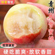 望之語(yǔ)青州冬雪蜜桃山東新鮮離核桃子水果當季軟甜水蜜桃脆硬桃 5斤家庭裝【單果100g+】